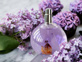 عطر اکلت